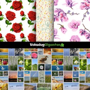 Natur / Blomster